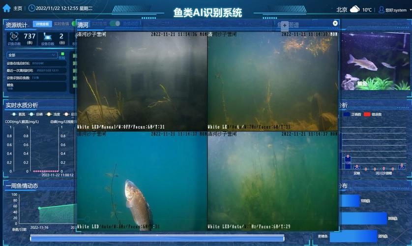 祥龍龍魚APP有哪些功能？，祥龍龍魚app
