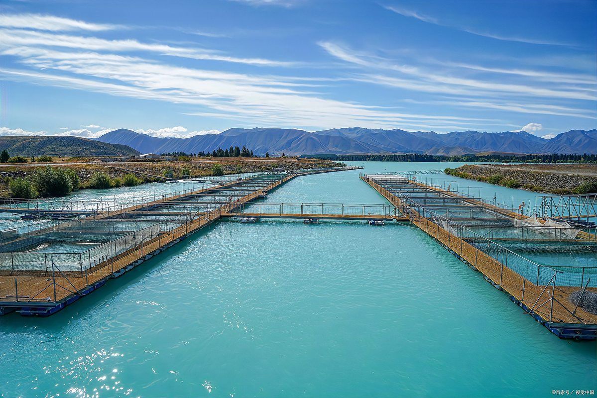 如何預(yù)防魚得腸炎，如何科學(xué)預(yù)防魚類腸炎