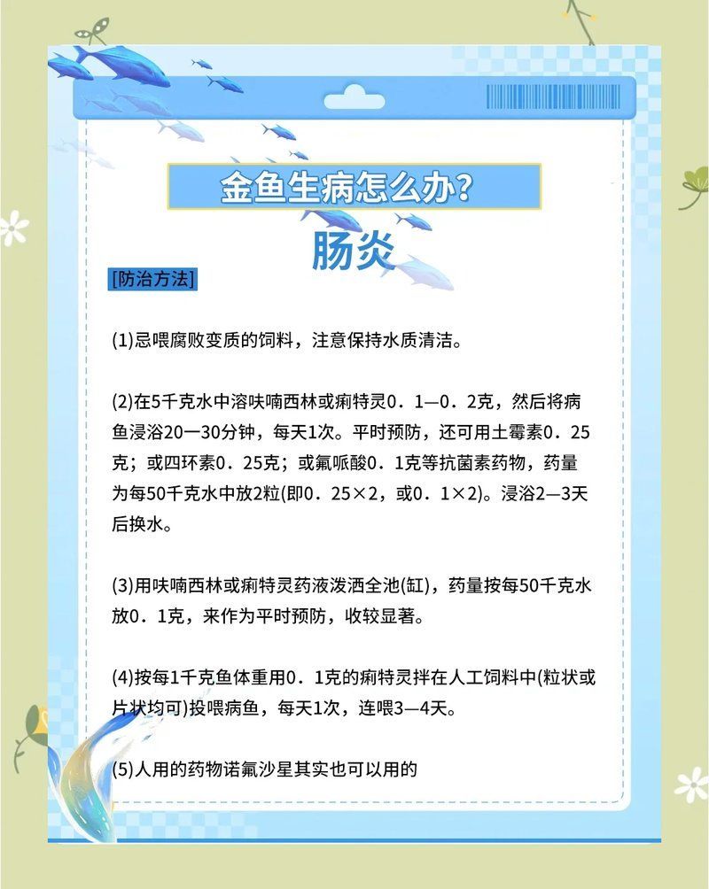如何預(yù)防魚得腸炎，如何科學(xué)預(yù)防魚類腸炎