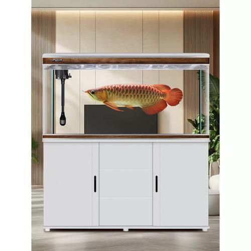 金龍魚魚缸價(jià)格范圍，金龍魚魚缸價(jià)格范圍可以從幾百元到幾千元不等