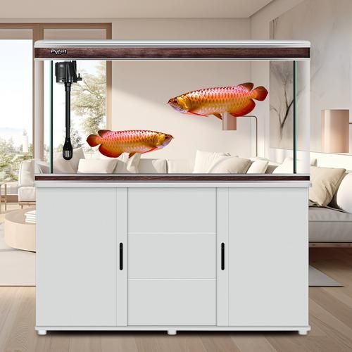 金龍魚魚缸價(jià)格范圍，金龍魚魚缸價(jià)格范圍可以從幾百元到幾千元不等