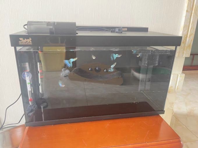 森森魚缸哪個型號性價比最高？，森森金麟超白玻璃魚缸