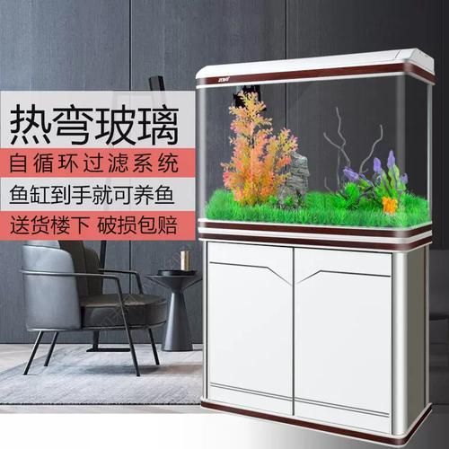 佳寶龍魚缸的評價如何？，“佳寶龍魚缸”實拍圖搜索獲取權威信息（佳寶龍魚缸” 佳寶龍魚缸的評價如何？，“佳寶龍魚缸”實拍圖搜索獲取權威信息（佳寶龍魚缸” 龍魚百科 第4張