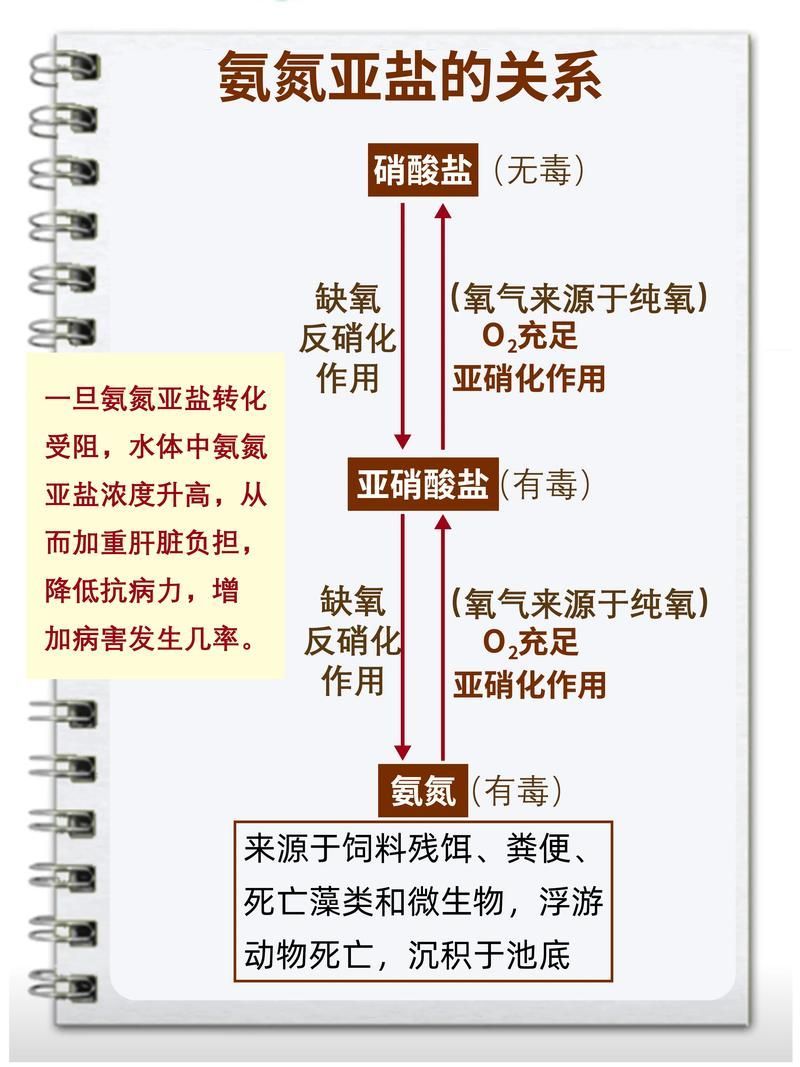 如何制定個性化換水計劃 如何制定個性化換水計劃 龍魚百科 第4張