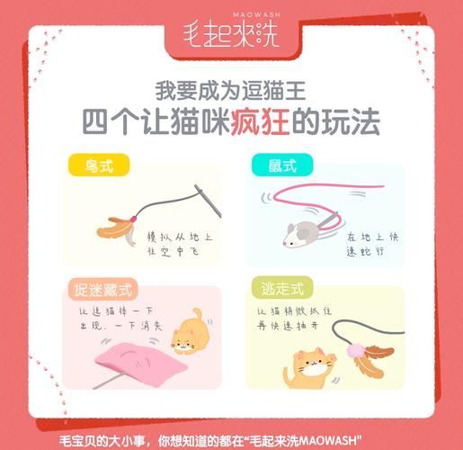 如何訓練貓不捕魚