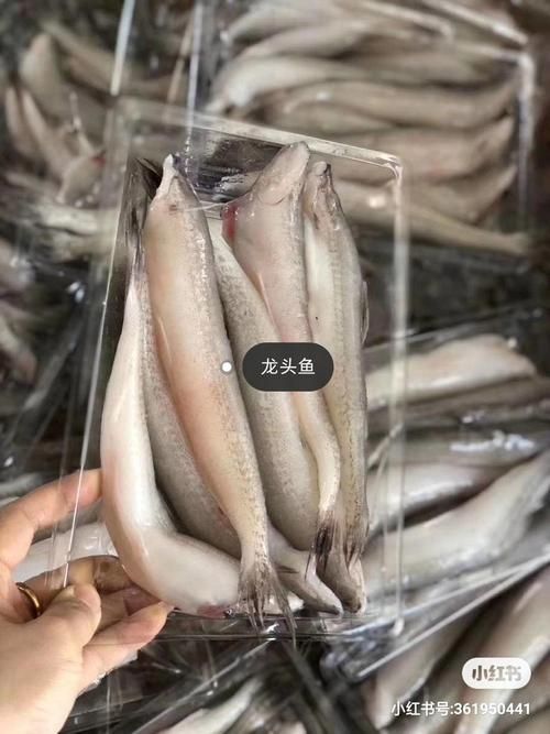 龍頭魚的價格是多少，舟山野生速凍龍頭魚價格高昂的三大原因解析懸疑探妍