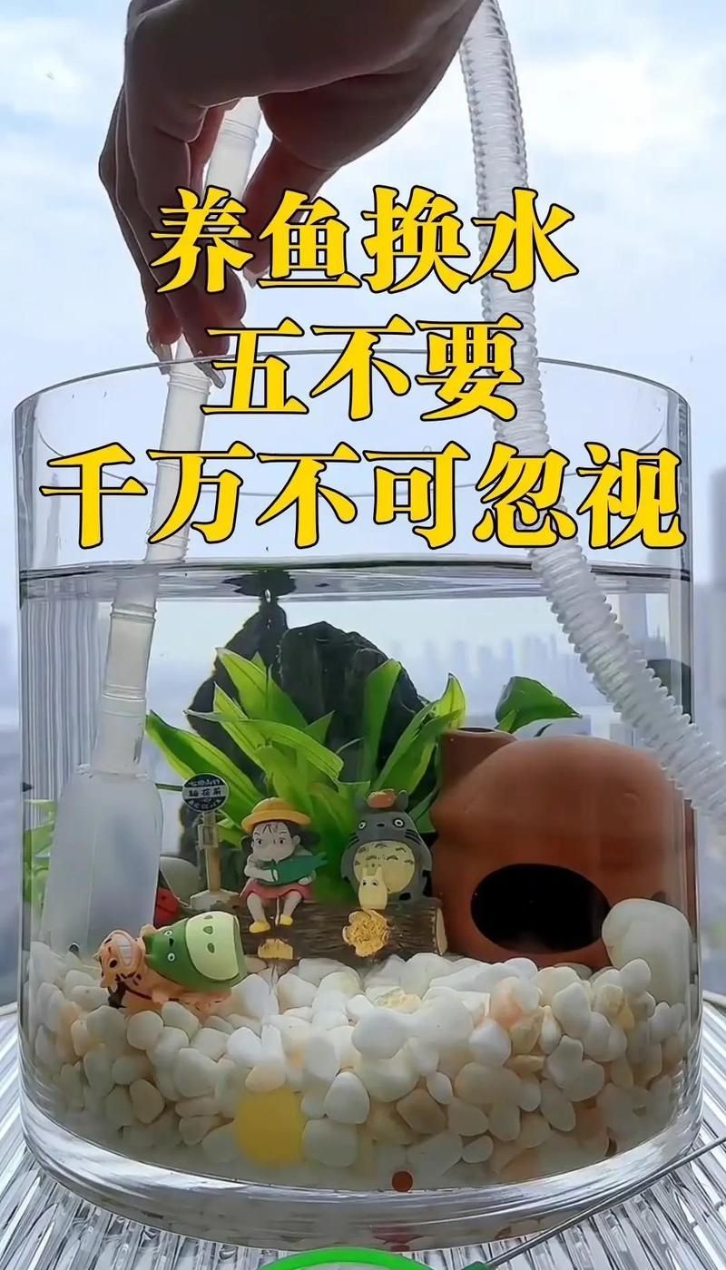 魚缸多久換一次水？，養魚換水必知的五大注意事項小白bibo微里楠