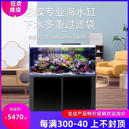 如何選擇適合的彩鰈魚缸?,久鼎品牌哪個系列最受歡迎 龍魚百科 第8張 如何選擇適合的彩鰈魚缸?,久鼎品牌哪個系列最受歡迎 如何選擇適合的彩鰈魚缸?,久鼎品牌哪個系列最受歡迎 龍魚百科 第8張