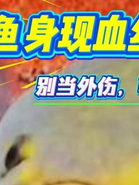 如何區(qū)分魚類病毒和細菌感染，如何區(qū)分魚類病毒性感染與細菌性感染？