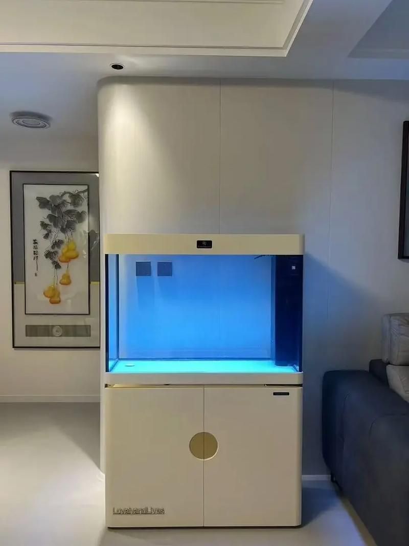 彩鰈、久鼎、可麗愛、希瑾哪個品牌最好？，可麗愛水族箱品牌評估