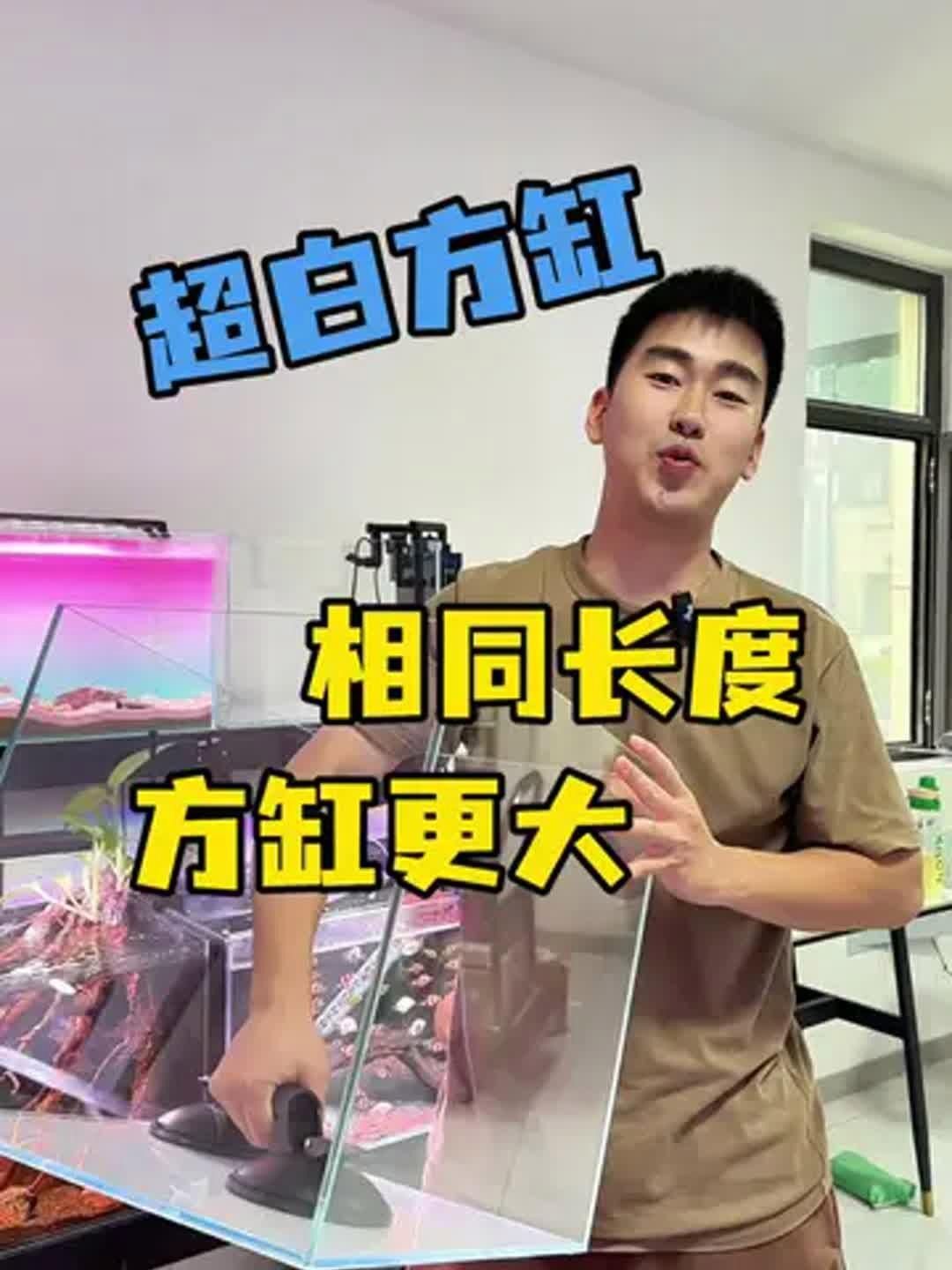 這些魚缸中哪個性價比最高？，佳寶迷你智能生態魚缸選購全攻略hufu顏究社