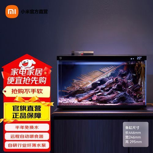 這些魚缸中哪個性價比最高？，佳寶迷你智能生態魚缸選購全攻略hufu顏究社