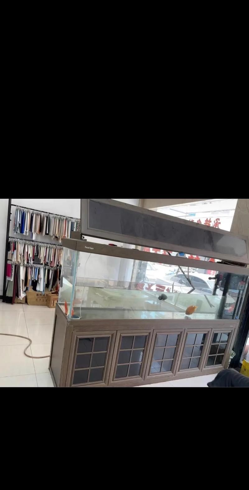 如何判斷龍魚缸的品牌真假？