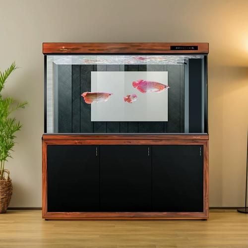 推薦幾款高端龍魚缸品牌，高端水族箱品牌推薦