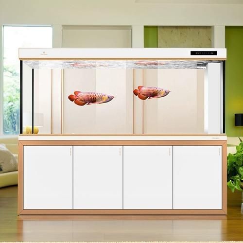 推薦幾款高端龍魚缸品牌，高端水族箱品牌推薦
