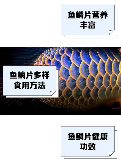 如何預防魚立鱗病，arxiv論文助手arxiv論文arxiv論文助手檢索