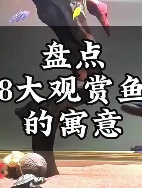 龍魚死了，風水上如何解釋，風水學中常見的吉祥物龍魚死亡通常與以下幾個因素有關