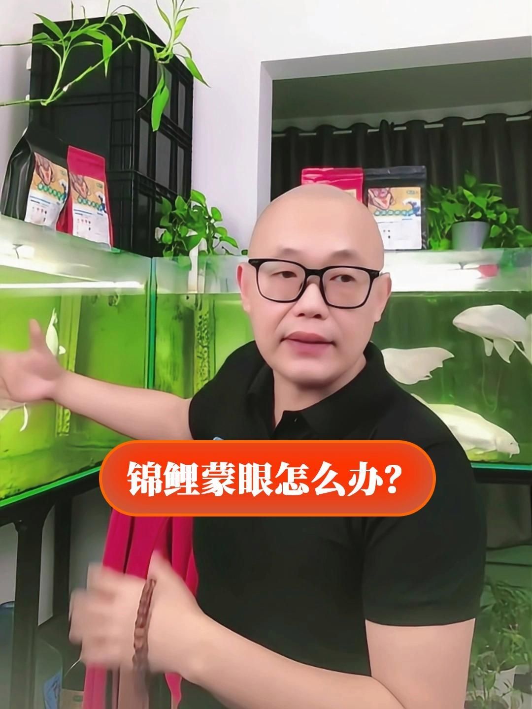 錦鯉蒙眼病會自愈嗎