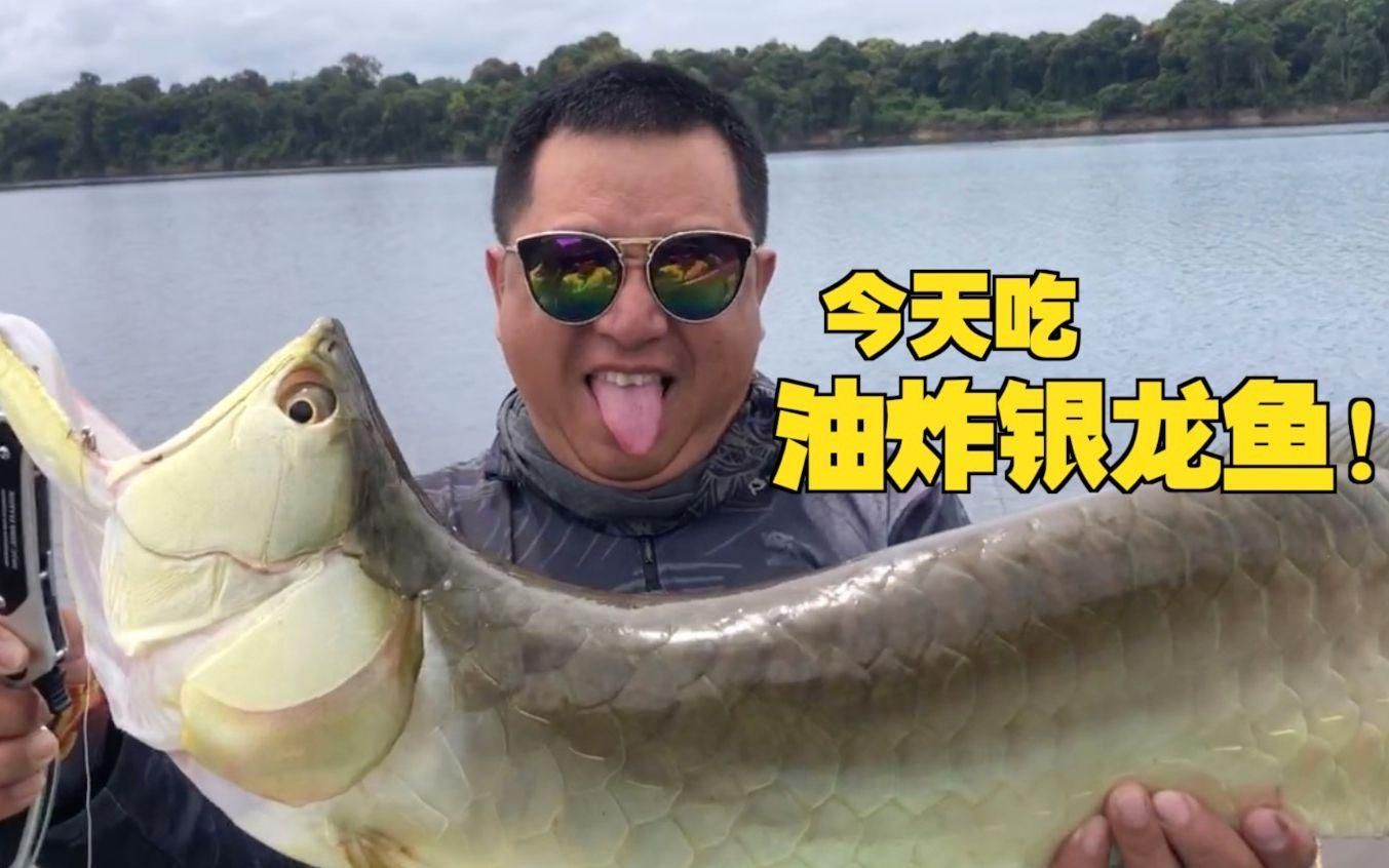 哪些種類的龍魚可以食用？，亞洲龍魚品種價格高昂，適合家庭烹飪的龍魚品種清單