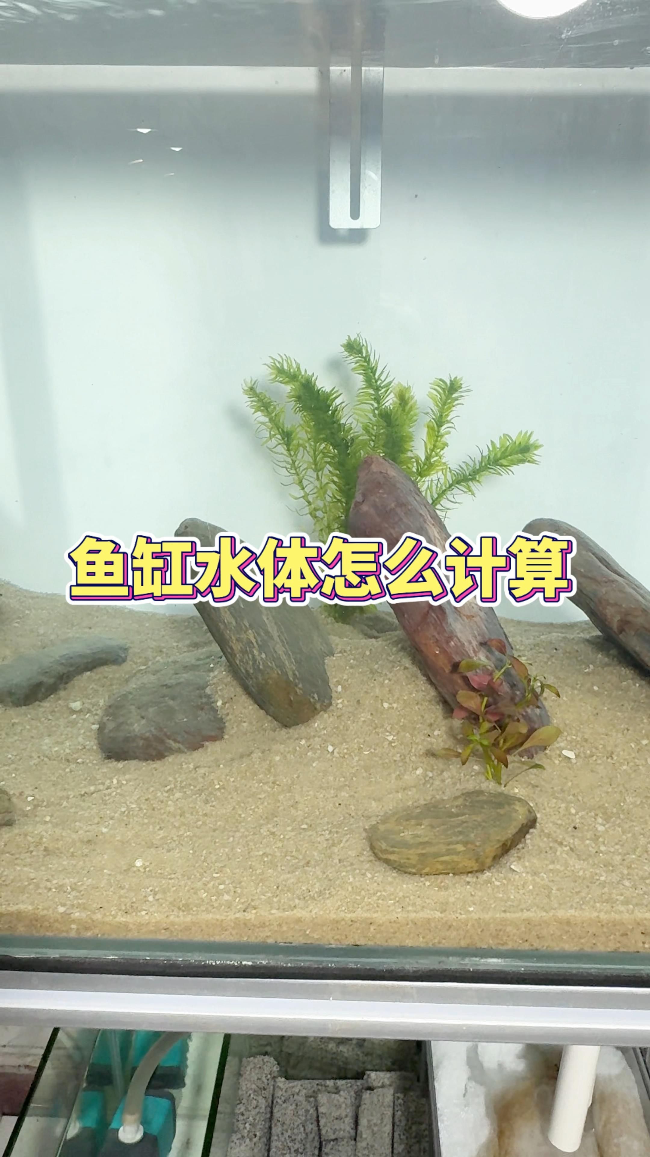 如何計(jì)算魚缸的容積，計(jì)算魚缸容積其實(shí)并不復(fù)雜