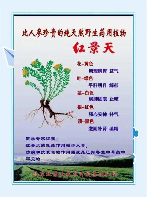 有哪些抗應(yīng)激產(chǎn)品推薦？，抗應(yīng)激產(chǎn)品