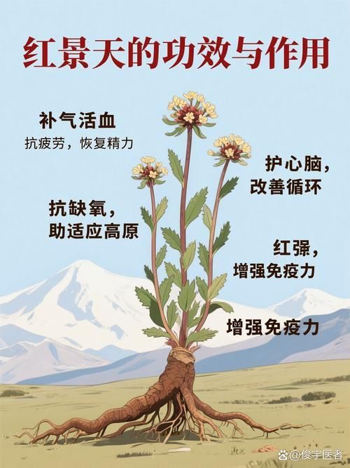 有哪些抗應(yīng)激產(chǎn)品推薦？，抗應(yīng)激產(chǎn)品