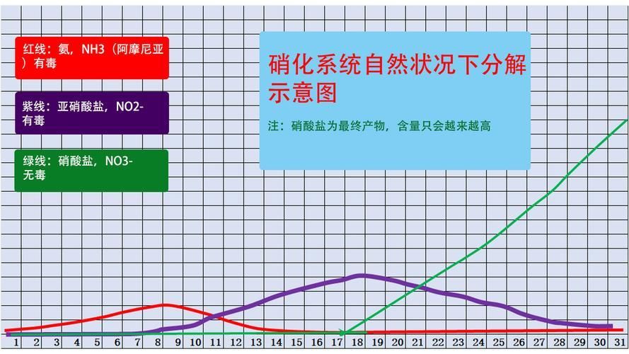 如何預防爛鰭爛尾病的發生，如何預防鰭爛尾病
