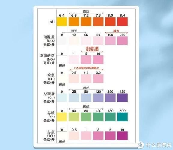如何預防爛鰭爛尾病的發生，如何預防鰭爛尾病