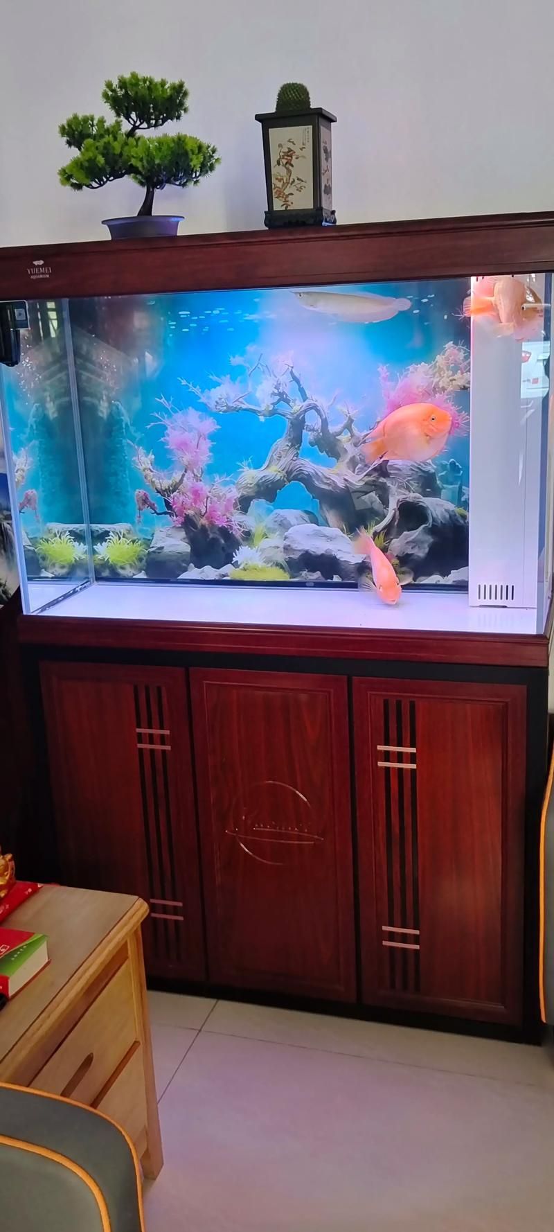 如何聯系祥龍魚場獲取龍魚缸型號？，西安祥龍集團龍魚缸型號獲取指南