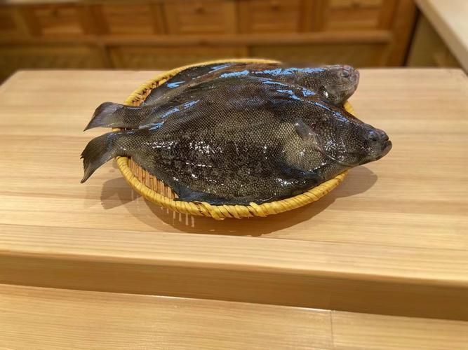 彩鰈有哪些品種？