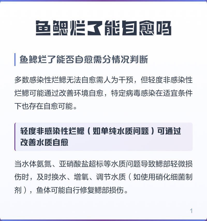 魚鰓腐爛會自愈嗎，魚鰓爛了能自愈嗎魚鰓爛了能自愈嗎