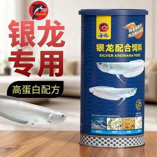 有哪些品牌適合幼龍魚？，適合幼龍魚的優質飼料品牌