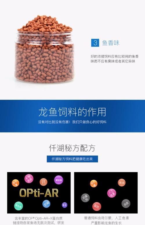有哪些品牌適合幼龍魚？，適合幼龍魚的優質飼料品牌