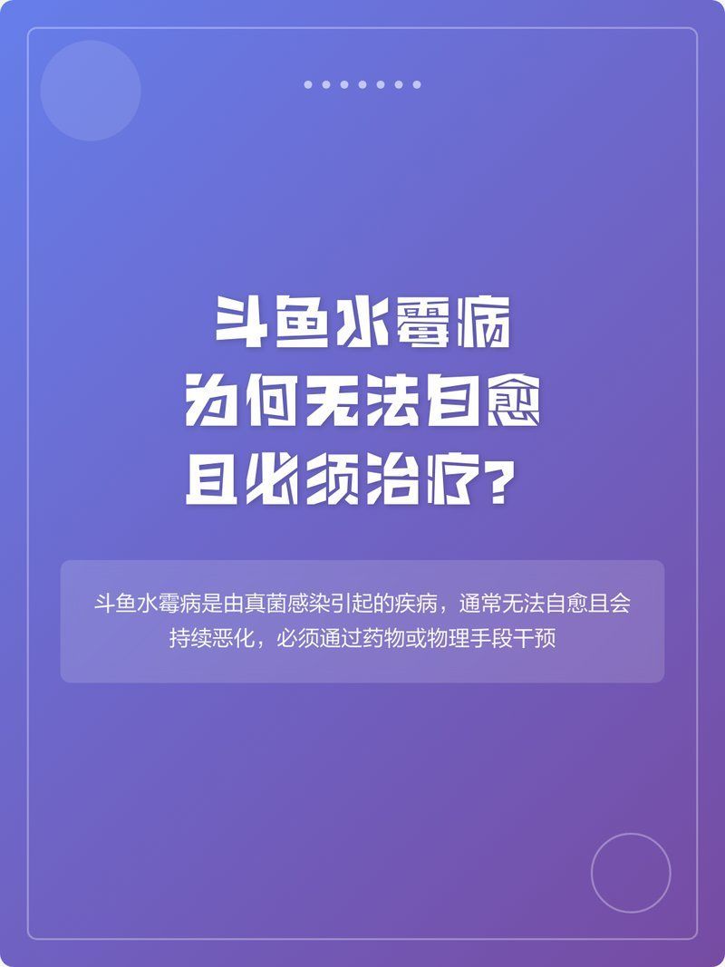請提供更多關于魚類真菌的信息，arxiv水產ai檢測技術 請提供更多關于魚類真菌的信息，arxiv水產ai檢測技術 龍魚百科 第2張