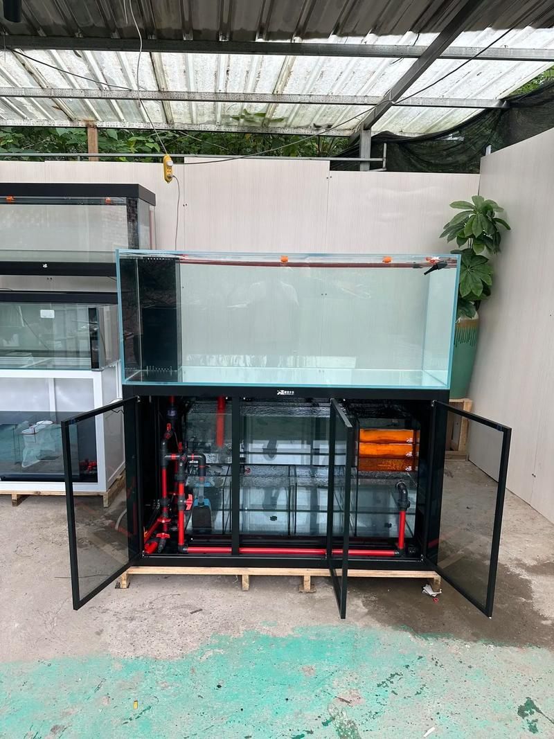 給我推薦一些適合龍魚的魚缸，養龍魚，選對魚缸是成功的第一步,一個合適的魚缸