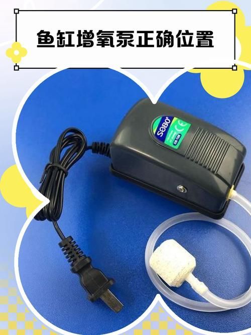 如何預(yù)防金魚浮頭