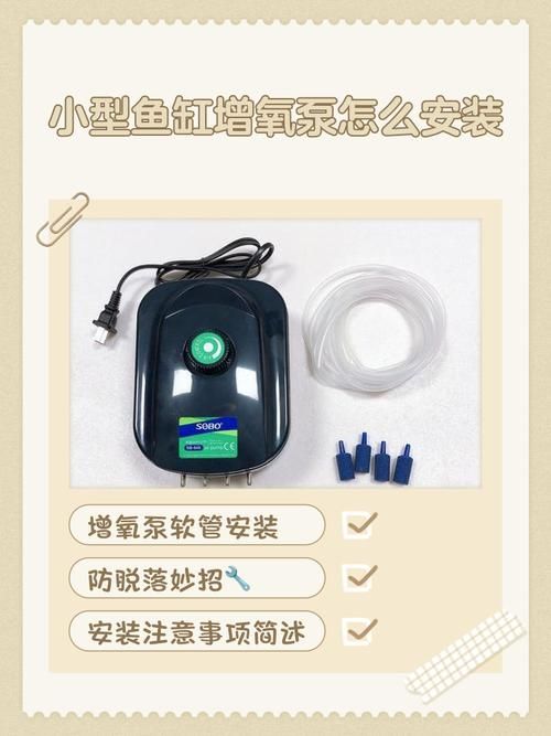 如何預(yù)防金魚浮頭