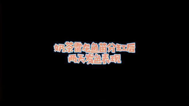 如何判斷雷龍魚是否開始發色，判斷雷龍魚是否開始發色