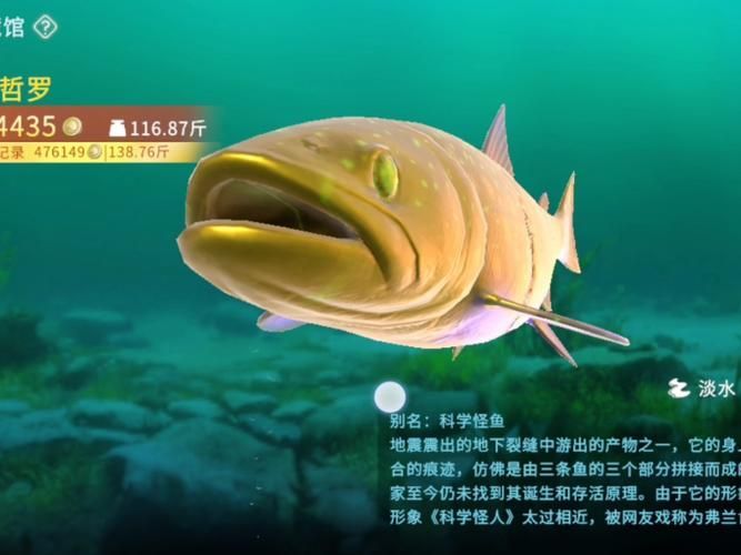 能否提供更多世界上最貴的食用魚圖片，世界上最貴的魚類有哪些