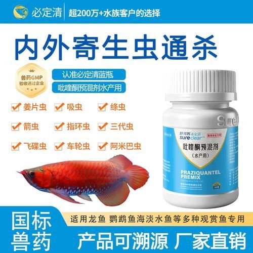 哪種藥物對龍魚寄生蟲最安全，吡喹酮對龍魚寄生蟲最安全