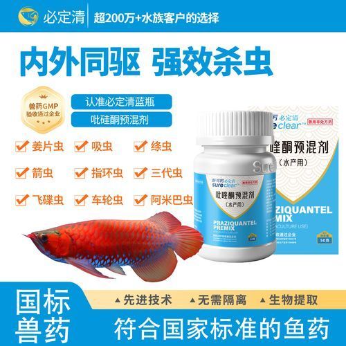 哪種藥物對龍魚寄生蟲最安全，吡喹酮對龍魚寄生蟲最安全