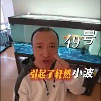 哪種藥物對龍魚寄生蟲最安全，吡喹酮對龍魚寄生蟲最安全