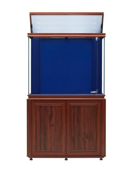 彩鰈和閩江哪個更受歡迎？