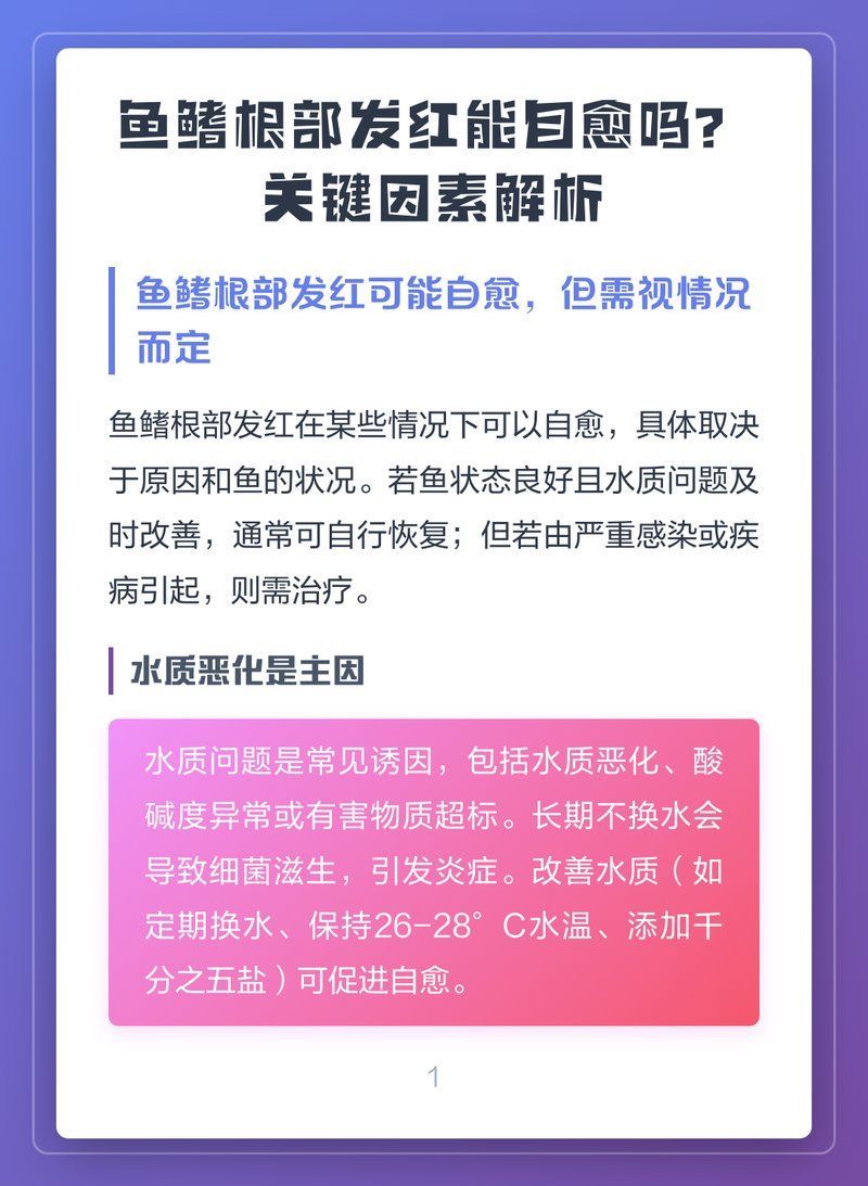 魚鰭根部充血會自愈嗎，暹羅斗魚魚鰭根部發紅能否自愈關鍵看這幾點