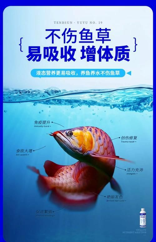 如何預防魚蒙眼病的復發，如何預防魚蒙眼病