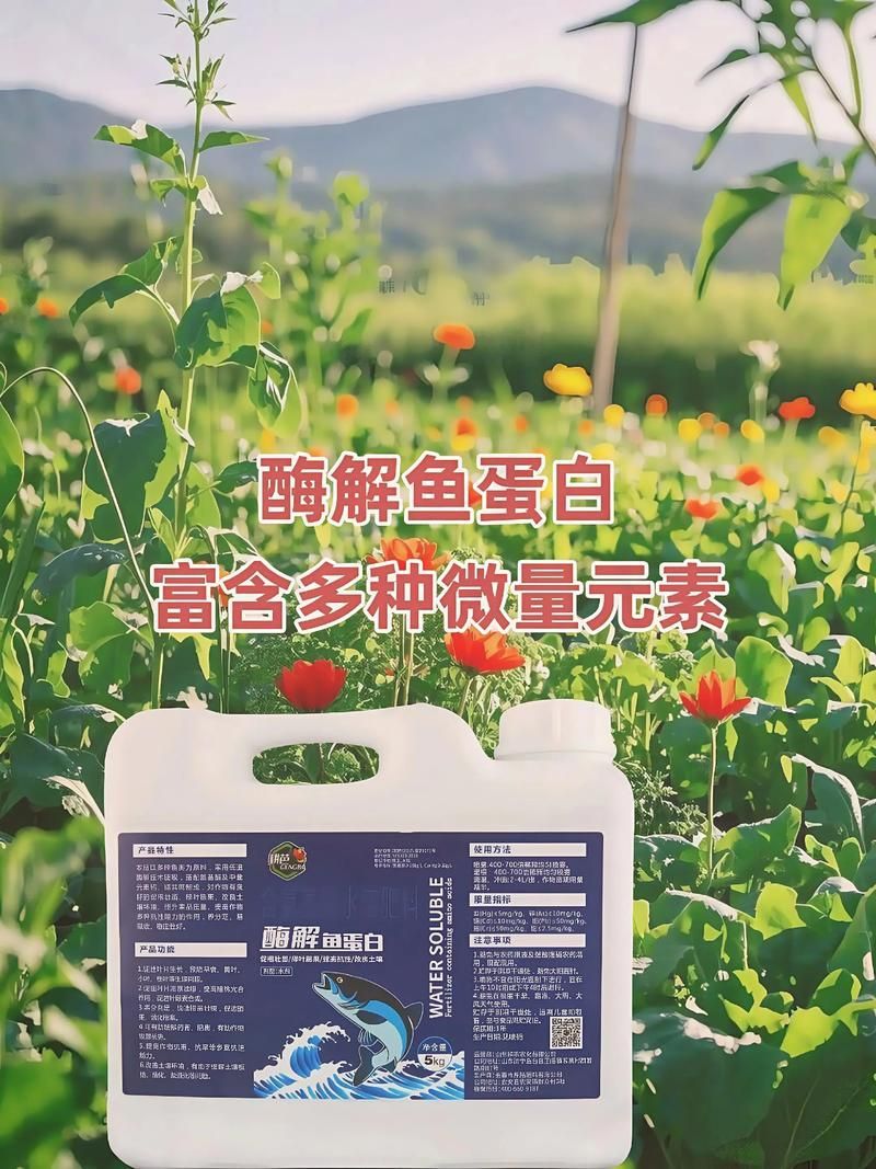 如何預防魚蒙眼病的復發，如何預防魚蒙眼病