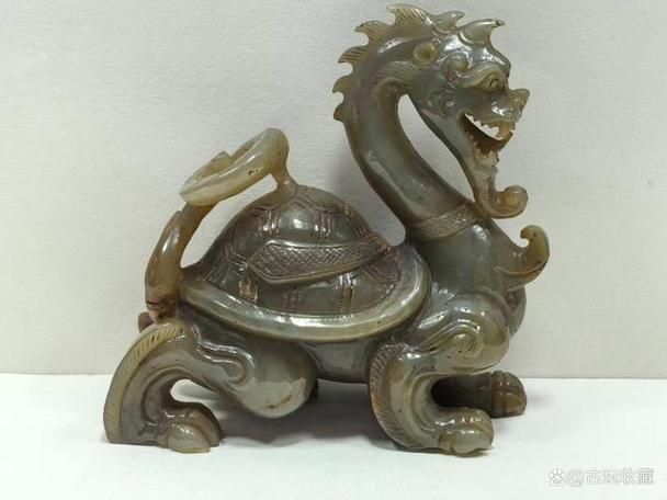 如何判斷龍龜的真假，如何判斷龍龜的真偽