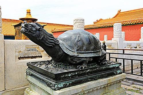 如何判斷龍龜的真假，如何判斷龍龜的真偽