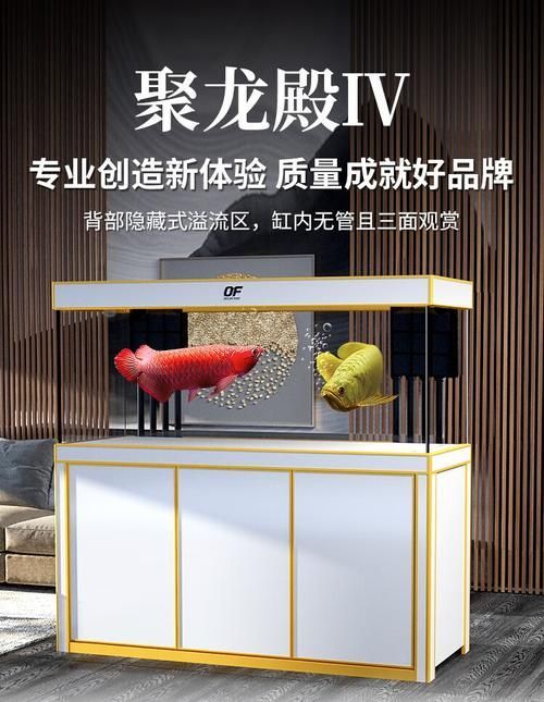 2024年龍魚缸哪個系列最受歡迎？
