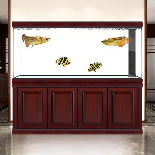 龍魚缸定制價格大概是多少？，彩鰈魚缸定制價格范圍是多少